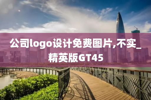 公司logo设计免费图片,不实_精英版GT45