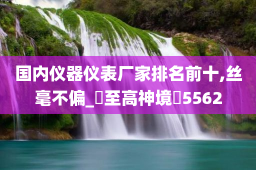 国内仪器仪表厂家排名前十,丝毫不偏_‌至高神境‌5562