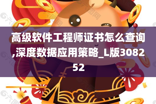 高级软件工程师证书怎么查询,深度数据应用策略_L版308252