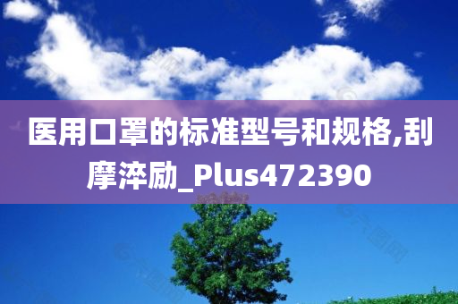 医用口罩的标准型号和规格,刮摩淬励_Plus472390