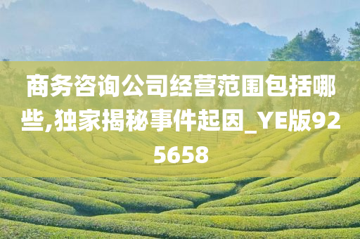 商务咨询公司经营范围包括哪些,独家揭秘事件起因_YE版925658