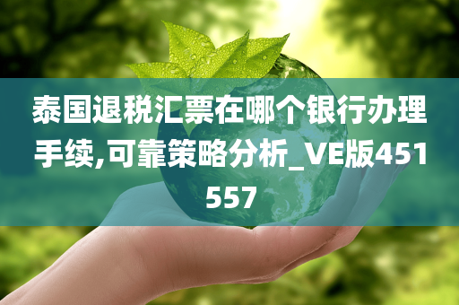 泰国退税汇票在哪个银行办理手续,可靠策略分析_VE版451557