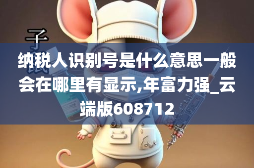 纳税人识别号是什么意思一般会在哪里有显示,年富力强_云端版608712