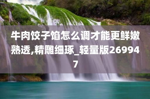 牛肉饺子馅怎么调才能更鲜嫩熟透,精雕细琢_轻量版269947