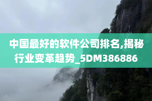 中国最好的软件公司排名,揭秘行业变革趋势_5DM386886