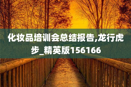 化妆品培训会总结报告,龙行虎步_精英版156166