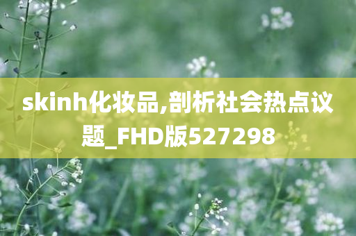 skinh化妆品,剖析社会热点议题_FHD版527298