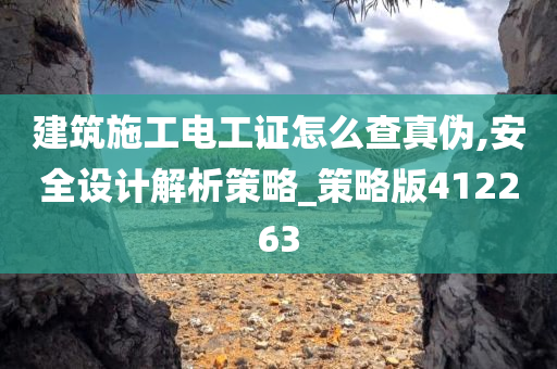 建筑施工电工证怎么查真伪,安全设计解析策略_策略版412263