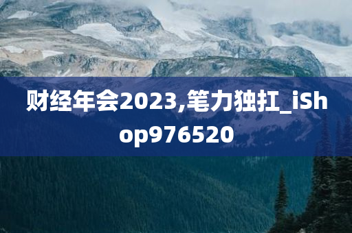 财经年会2023,笔力独扛_iShop976520