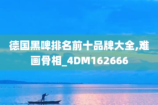 德国黑啤排名前十品牌大全,难画骨相_4DM162666