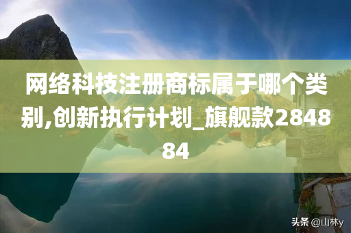 网络科技注册商标属于哪个类别,创新执行计划_旗舰款284884