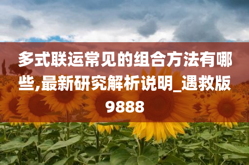 多式联运常见的组合方法有哪些,最新研究解析说明_遇救版9888