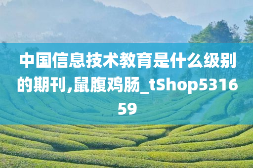 中国信息技术教育是什么级别的期刊,鼠腹鸡肠_tShop531659