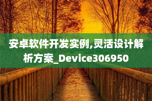 安卓软件开发实例,灵活设计解析方案_Device306950