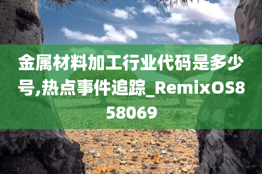 金属材料加工行业代码是多少号,热点事件追踪_RemixOS858069