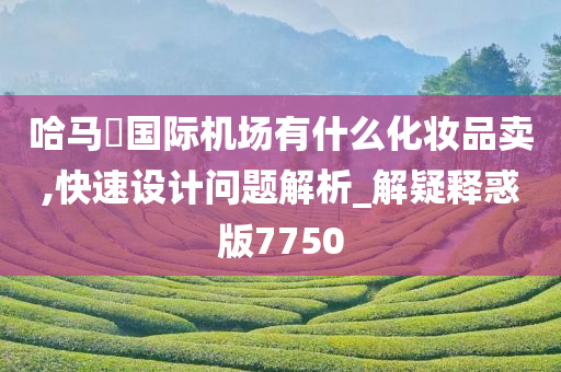 哈马徳国际机场有什么化妆品卖,快速设计问题解析_解疑释惑版7750