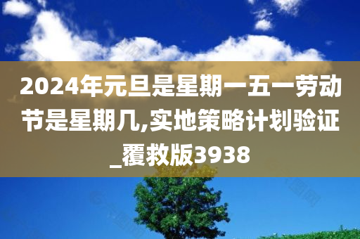 2024年元旦是星期一五一劳动节是星期几,实地策略计划验证_覆救版3938