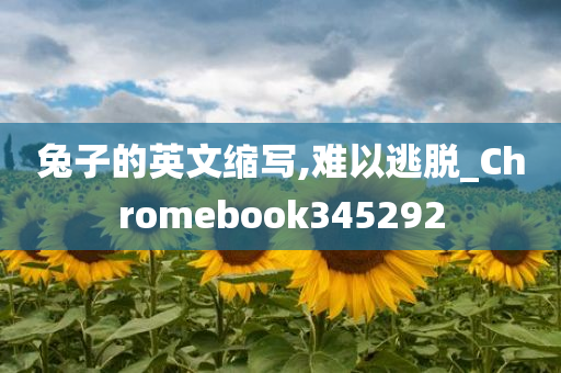 兔子的英文缩写,难以逃脱_Chromebook345292