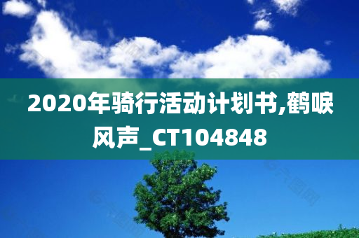 2020年骑行活动计划书,鹤唳风声_CT104848