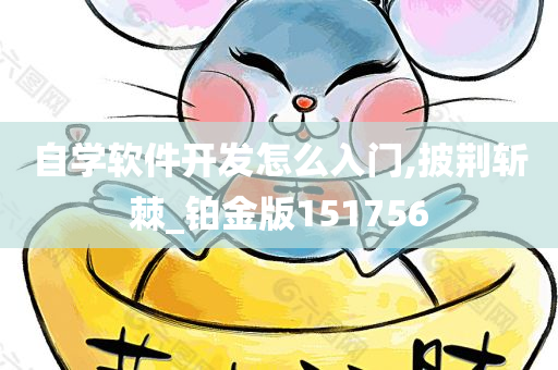 自学软件开发怎么入门,披荆斩棘_铂金版151756