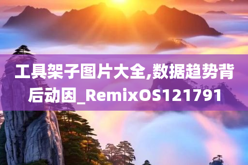 工具架子图片大全,数据趋势背后动因_RemixOS121791