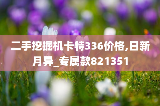 二手挖掘机卡特336价格,日新月异_专属款821351