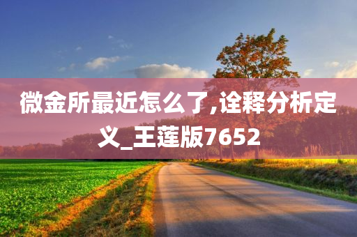 微金所最近怎么了,诠释分析定义_王莲版7652