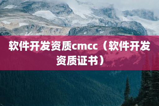 软件开发资质cmcc（软件开发资质证书）