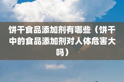 饼干食品添加剂有哪些（饼干中的食品添加剂对人体危害大吗）