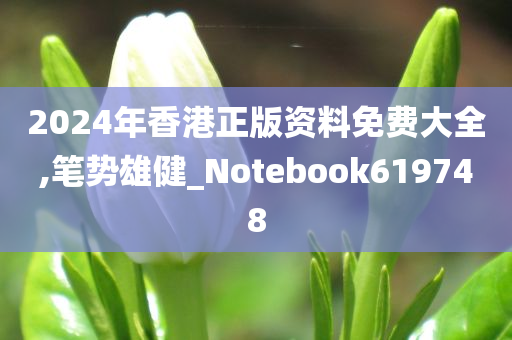 2024年香港正版资料免费大全,笔势雄健_Notebook619748