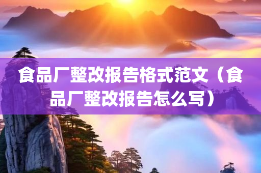 食品厂整改报告格式范文（食品厂整改报告怎么写）