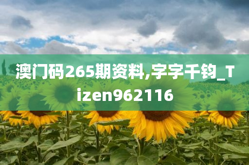 澳门码265期资料,字字千钧_Tizen962116