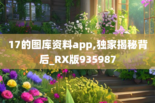 17的图库资料app,独家揭秘背后_RX版935987