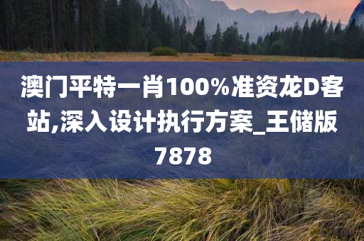 澳门平特一肖100%准资龙D客站,深入设计执行方案_王储版7878