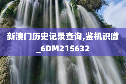 新澳门历史记录查询,鉴机识微_6DM215632