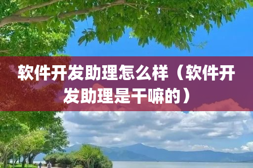 软件开发助理怎么样（软件开发助理是干嘛的）