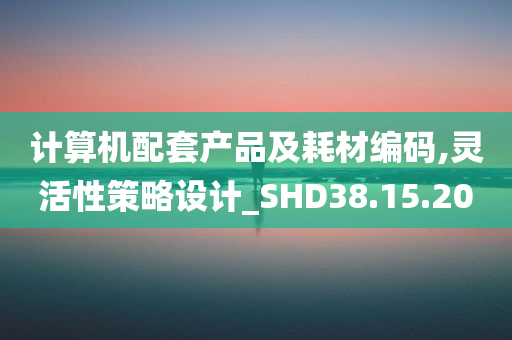 计算机配套产品及耗材编码,灵活性策略设计_SHD38.15.20