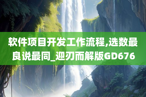 软件项目开发工作流程,选数最良说最同_迎刃而解版GD676