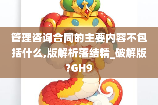 管理咨询 第31页