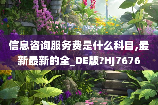 信息咨询服务费是什么科目,最新最新的全_DE版?HJ7676