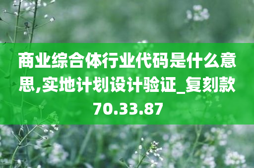 商业综合体行业代码是什么意思,实地计划设计验证_复刻款70.33.87