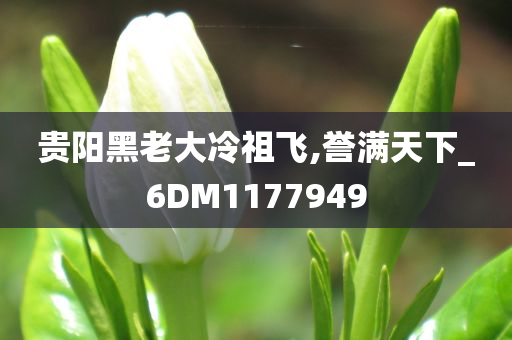 贵阳黑老大冷祖飞,誉满天下_6DM1177949