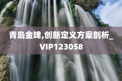 青岛金啤,创新定义方案剖析_VIP123058