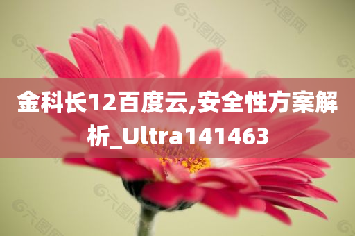 金科长12百度云,安全性方案解析_Ultra141463