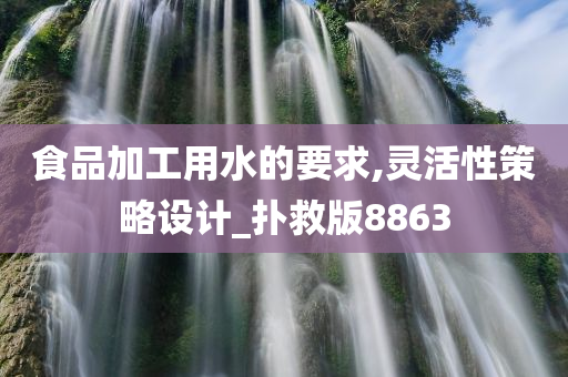 食品加工用水的要求,灵活性策略设计_扑救版8863