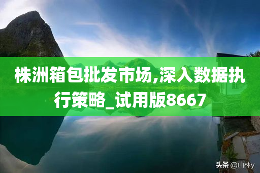 株洲箱包批发市场,深入数据执行策略_试用版8667