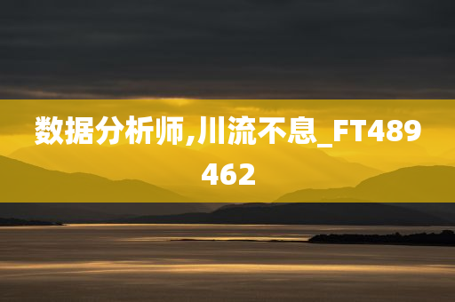 数据分析师,川流不息_FT489462