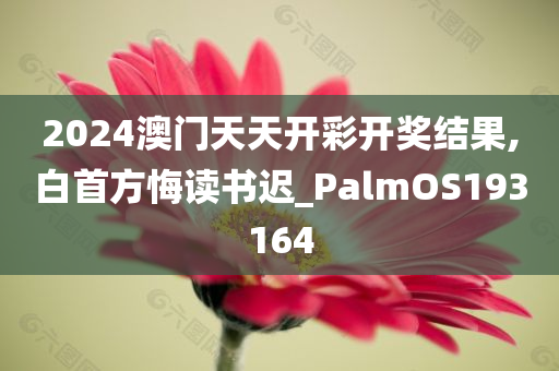 2024澳门天天开彩开奖结果,白首方悔读书迟_PalmOS193164