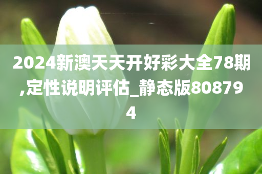 2024新澳天天开好彩大全78期,定性说明评估_静态版808794