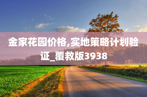 金家花园价格,实地策略计划验证_覆救版3938